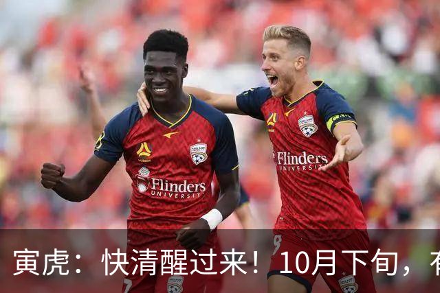 寅虎：快清醒过来！10月下旬，有人即将到访，并非为了讨债
